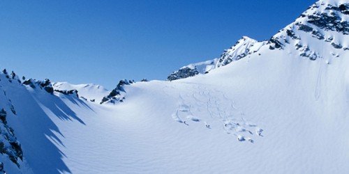 Heli Skiing Canada