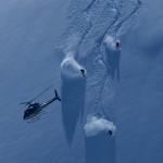 Heli Skiing on the top